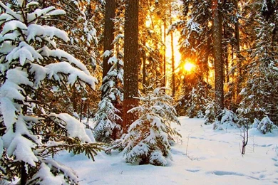 COOL WINTER WALLPAPERS DESKTOP FREE CVB019