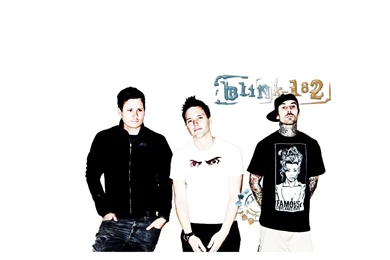 Blink 182 <3   Blink 182 Wallpapers (20974086)   Fanpop