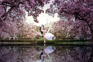 Spring Desktop Wallpapers HD Wallpapers Desktop Wallpapers ...