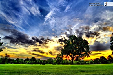 Spring Scenery Images.   Photo 154 Of 376