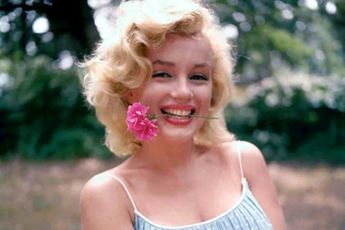 Marilyn monroe hd iphone wallpaper 157 51647 HD Wallpapers Pictures ...