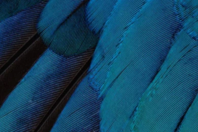 IOS9 Pattern Blue Green Cool