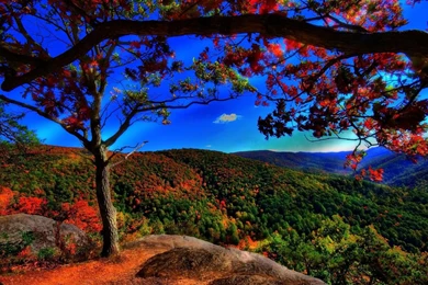 Widescreen Images, Amazing Pictures, Lovely Wallpapers, Cool ...