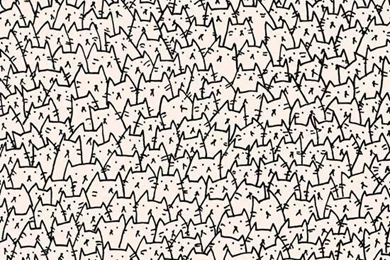 Cute Lil Cat Backgrounds   Image