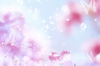 Beautiful Flowers Backgrounds 1024x768 Wallpapers, 1024x768 ...