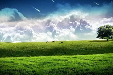 1024X768 Hd Wallpapers   HD Wallpapers Pretty