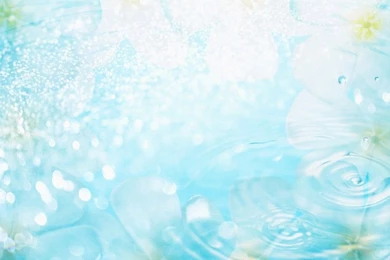 Free Wallpapers   Free Nature Wallpapers   Cg Seasons Spring Summer ...