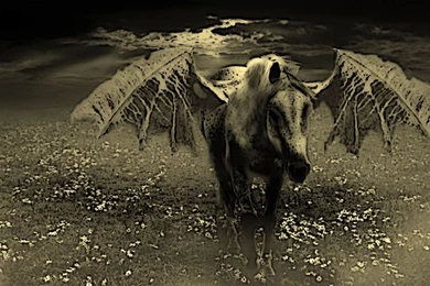 Hd Horror Wallpapers,horror Wallpapers