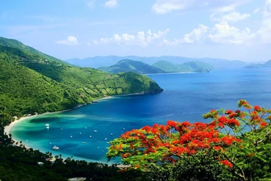 Gallery For   Nature Scenes Hd