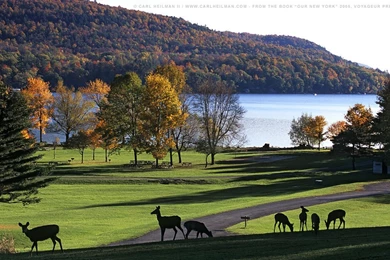 Central Park Wallpapers 113734