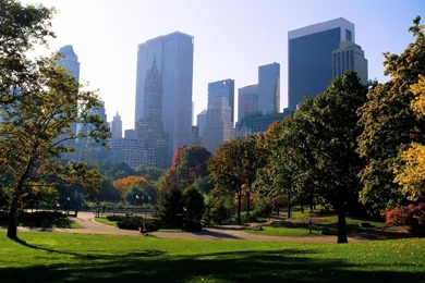Wallpapers Central Park, New York, Ny, City, Park, Usa, Skyscrapers ...