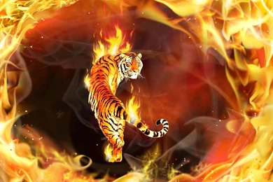 Tiger Flame Effects