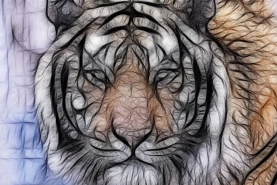 Abstract Fractal Art Cg Digital Tiger Stripes Pattern Predator Pov ...