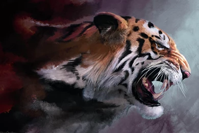 Angry Tiger Artwork Wallpapers