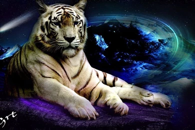 White Tiger Abstract Sapce By Grt By GRT101 On DeviantArt