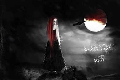 Free Wallpapers, Hd Images, Windows Wallpaper, Tablet Desktop ...