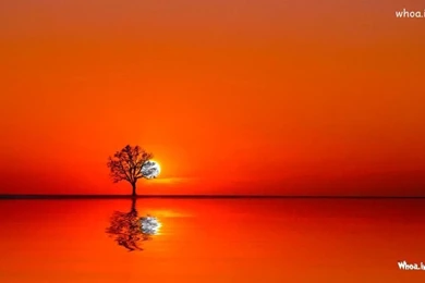 Beautiful Natural Sunrise with Orange Background HD Wallpaper.jpg