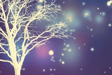 Gallery For   Free Winter Iphone Wallpapers