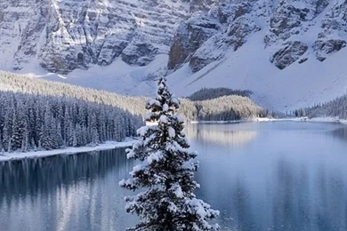 Gallery For   Iphone Wallpapers Hd Winter