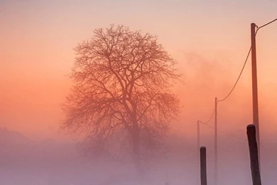 Winter iPhone 5s Wallpapers