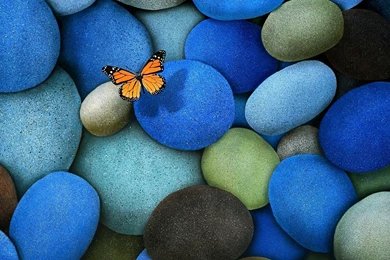 Amazing Pebbles Wallpapers