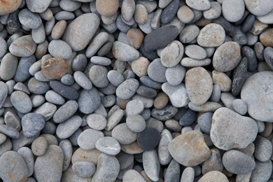 Gallery For Pebbles Wallpapers Android