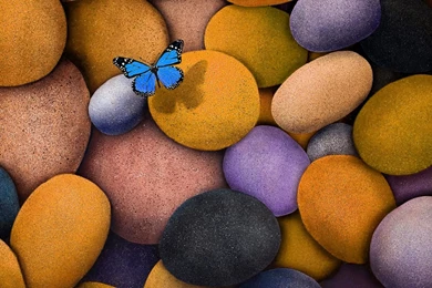 Blue Butterfly On The Pebbles Wallpapers   Digital Art Wallpapers ...