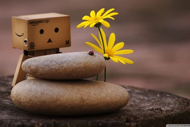 Gallery For   Zen Widescreen Desktop Wallpapers