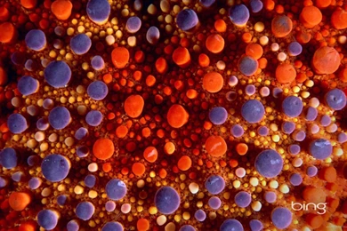 Download 1920x1080 Bing Pebbles Wallpapers