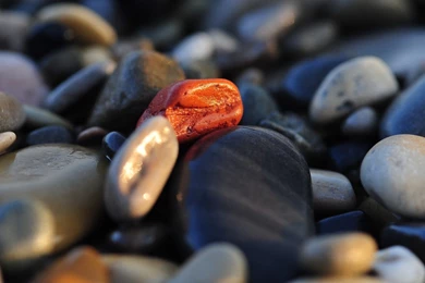 Pebbles Wallpapers   Photography Wallpapers