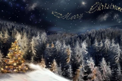 Wallpapers 1366x768 Christmas Tree In The Forest On A Hillside