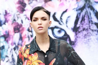 Ruby Rose Wallpapers HD   DJ & Singer