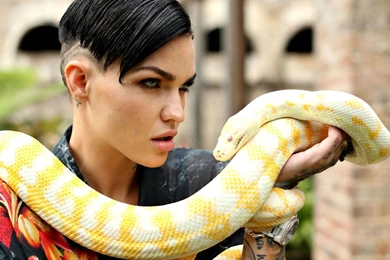 Ruby Rose Desktop Wallpapers Widescreen