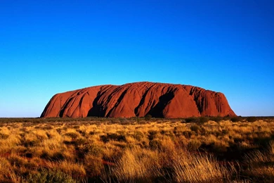 Gallery For   Australia Wallpapers For Android