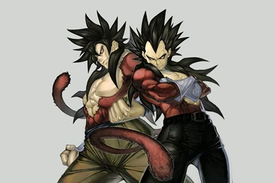 Super saiyan 4 goku vegeta anime hd wallpaper 1920x1080.jpg