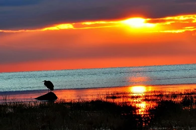 Hd Landscape Images, Nature Backgrounds, View, Amazing Landscape ...