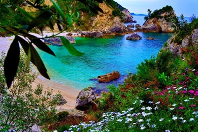 Awesome Nature Wallpapers For Android