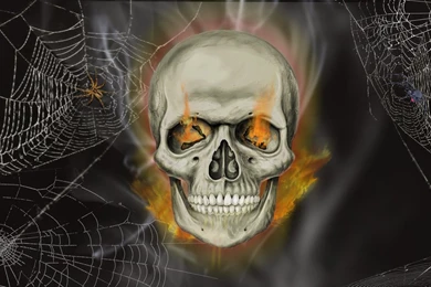 Download Black And White Nature Wallpapers 1080p