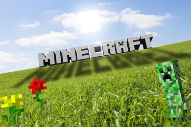 MINECRAFT STEVE WALLPAPERS UUU002