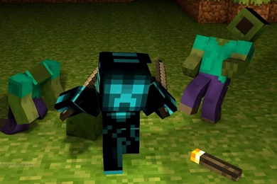 Minecraft Crazy Character   1366x768   Wallpapers