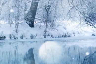 Winter Backgrounds Wallpapers