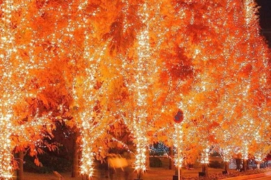 1080x1920 Fantasy Night Christmas Holiday Wallpapers HD