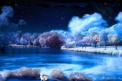 Gallery For   Beautiful Winter Wallpapers Hd