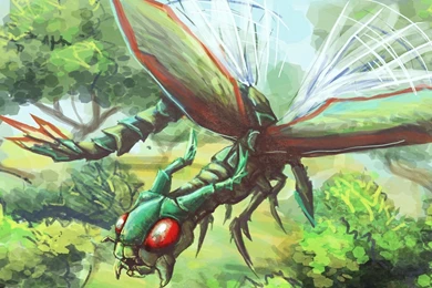Flygon   Pokemon Wallpapers   Anime Wallpapers