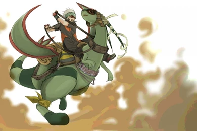 Flygon Pokemon Wallpapers   (