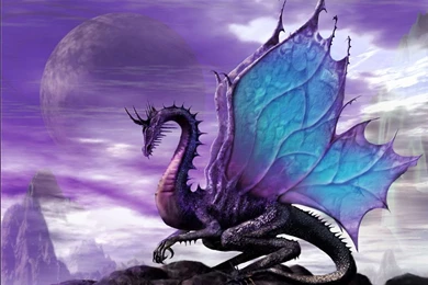 1597 Dragon HD Wallpapers