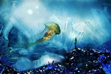 Jellyfish Desktop Wallpaper, Jellyfish Photos, New Wallpapers