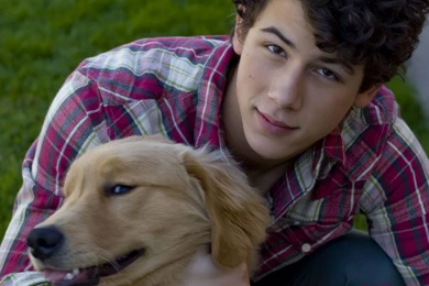 Cute Nick   Teenage Girls Only Wallpapers (13721606)   Fanpop