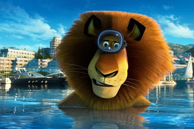 HD Wallpapers For PC Full Screen Free Download 3.jpg