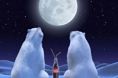 Polar Bears HD Desktop Wallpapers : High Definition : Fullscreen ...